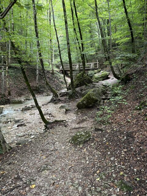 Ein paar Impressionen aus dem Aigner Park. | Foto: Schrofner