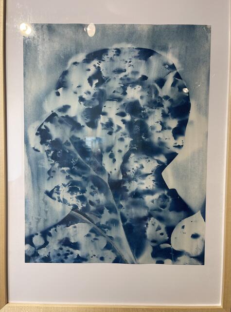 Marianne Gogg
„Les Plantes d'Antoine"
Cyanotypie, 2024
€ 300,- | Foto: Josef Goldhfoer