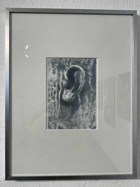 Günter Schaubeder
„Das unvollendete Portrait des AB"
Fotoübermalung, 2-teilig, 2024 à € 250,-- | Foto: Josef Goldhofer