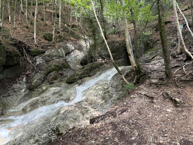 Ein paar Impressionen aus dem Aigner Park. | Foto: Schrofner