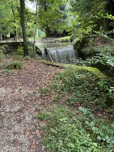 Ein paar Impressionen aus dem Aigner Park. | Foto: Schrofner