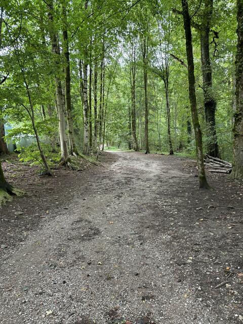Hier geht es zum Aigner Park, einem Naherholungsgebiet mit zahlreichen Wegen, Bächen, Grotten und Wasserfällen sowie einigen kleineren Höhlen. | Foto: Schrofner