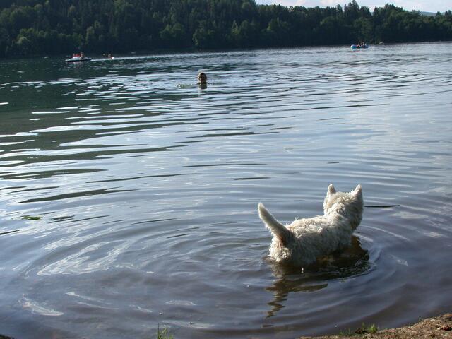 Ab ins kühle Nass! ... | Foto: © Silvia Plischek