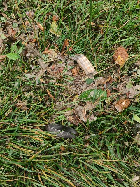 Nicht nur Wasser landete in den Gärten der Anrainer – auch Fäkalien, Tampons und Binden wurden angespült.  | Foto: Privat