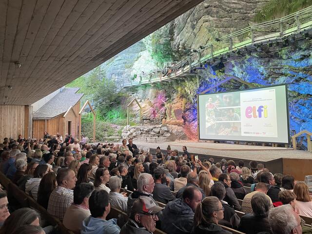 Eine große Anzahl interessierter Menschen war zur Filmpremiere von "Elfi" in die Geierwally-Freilichtbühne gekommen. | Foto: Posch