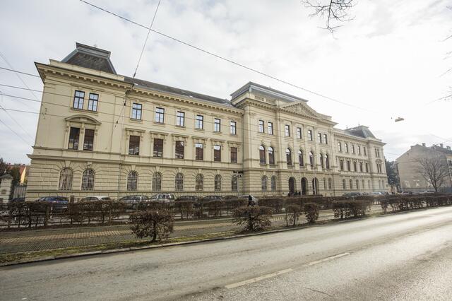 Am Freitag ist das Urteil gegen den Ex-FPÖ-Gemeinderat gefallen. | Foto: Prontolux