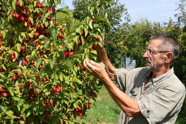 Viel zu sehen, staunen und verkosten gibt es bei Helmut Pirc.  | Foto: Pirc