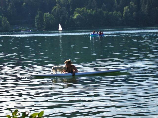 Ab ins kühle Nass! ... | Foto: © Silvia Plischek