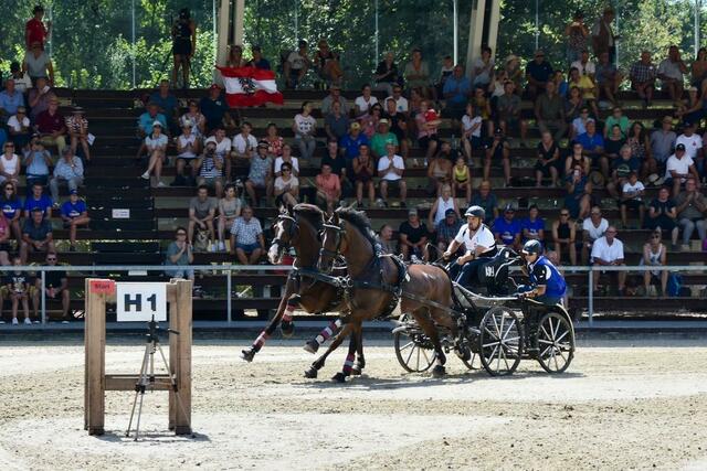 David Hötsch holt Bronze bei ÖM im Zweispännerfahren. | Foto: Rita Walter