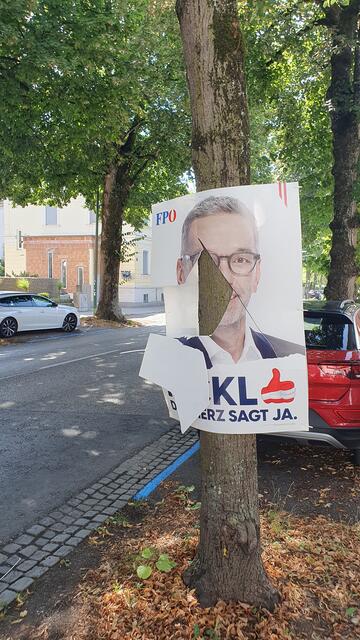 In der Welser Innenstadt wurden zahlreiche FPÖ-Wahlplakate zerstört. | Foto: FPÖ Wels