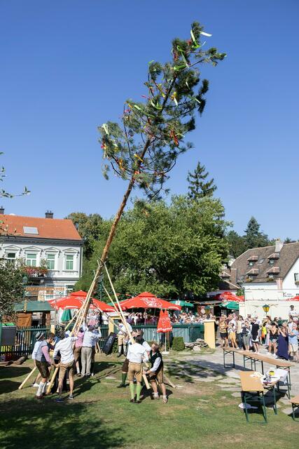 Foto: René Brunhölzl/MeinBezirk