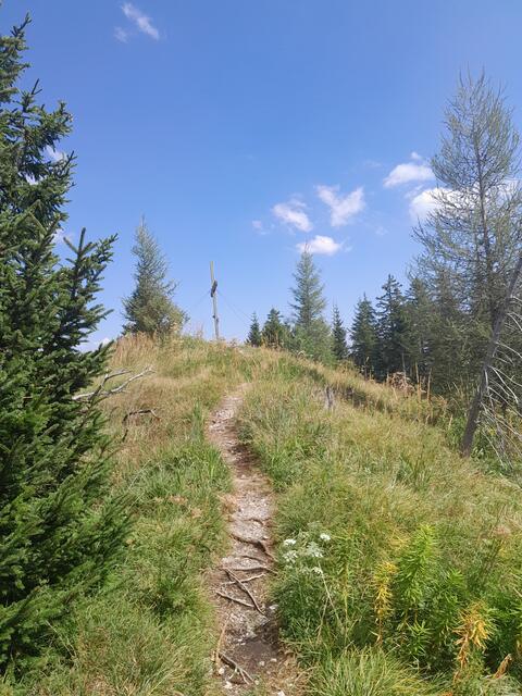 werfe noch einen Blick zurück