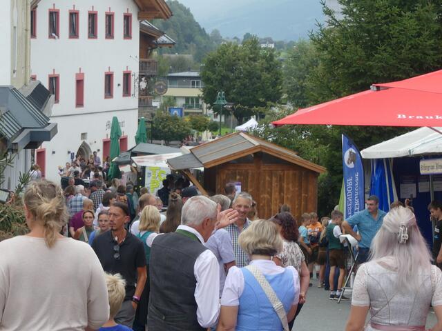 Foto: Anita Vorreiter