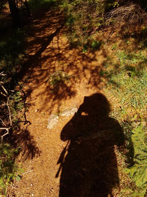 auf meinen Schatten