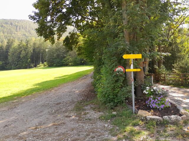 Hier geht der Wanderweg weg von der Straße in den Wald hinein