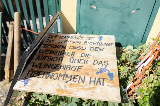 Foto: René Brunhölzl/MeinBezirk