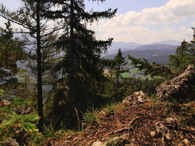 gibt es wieder Fernblicke und mal fällt der Blick ...