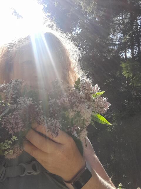 Beim Hinuntergehen pflücke ich Wasserdost und einige andere langstielige Blumen und flechte mir einen Kranz, der jetzt auf meiner Terasse hängt.