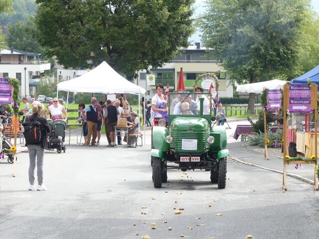 Foto: Anita Vorreiter