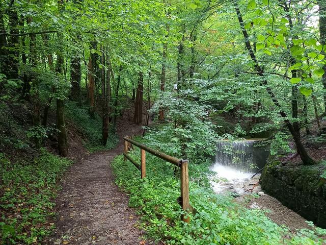 Foto: H.Bachinger 