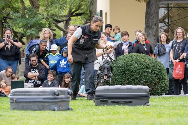 Auch die Diensthundestaffel des Österreichischen Zolls wird anwesend sein. | Foto: Daniel Zupanc
