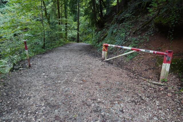 Offen: der Eingangsbereich zum GEO-Schauweg Glasenbachklamm. | Foto: Emanuel Hasenauer