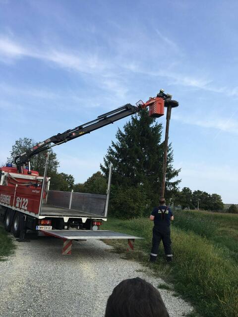 Die Feuerwehr Großpetersdorf rettete ein zurückgebliebenes Storchenjunges. | Foto: Feuerwehr Großpetersdorf