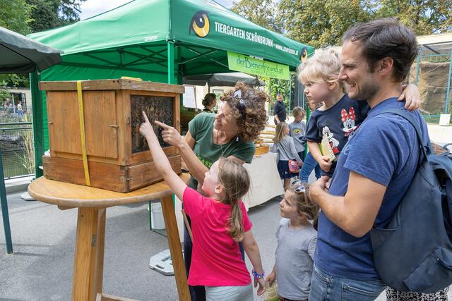 Am 31. August und 1. September finden die Artenschutztage im Tiergarten Schönbrunn statt. | Foto: Daniel Zupanc