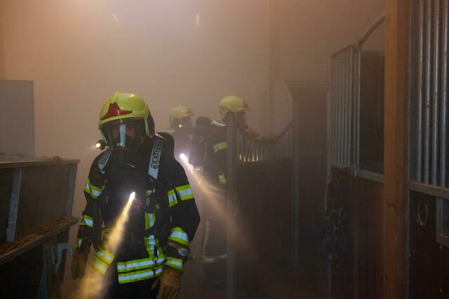 Eine Brandeinsatzübung fand im Pferdezentrum Wolfsgraben statt. | Foto: FF Wolfsgraben