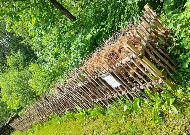 Benjeshecke | Foto: Privat