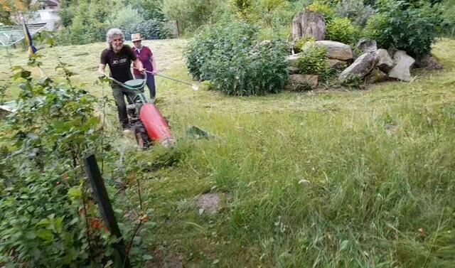 Mähzeit | Foto: Privat