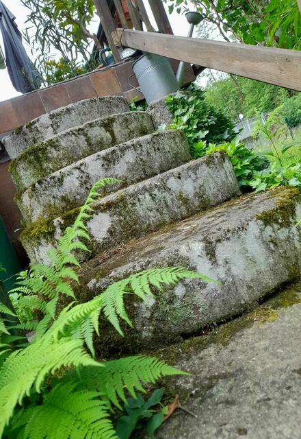 Abgang zur Braunau | Foto: Privat