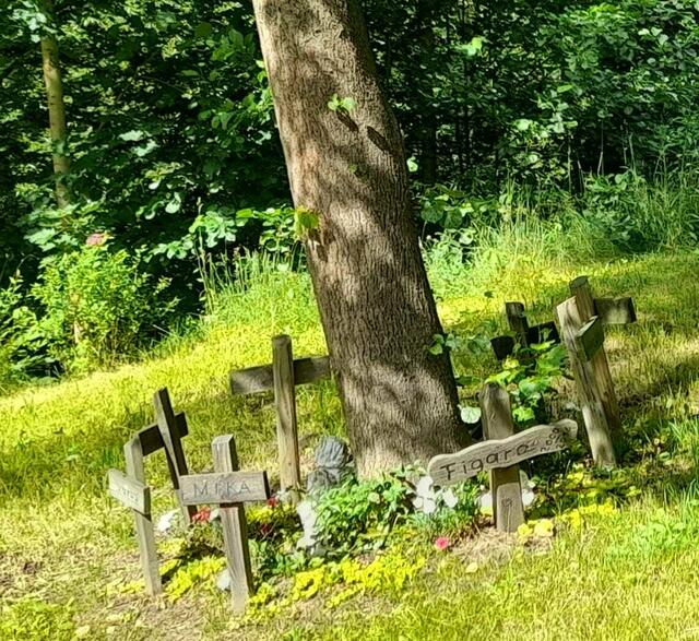 Tierfriedhof | Foto: Privat