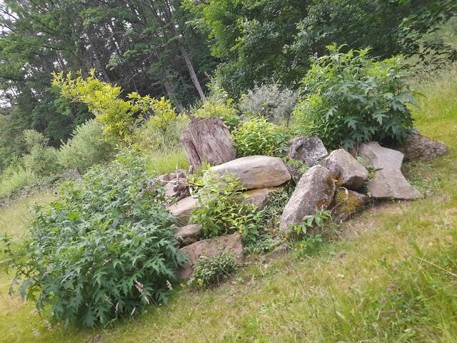 Trockenbiotop | Foto: Privat