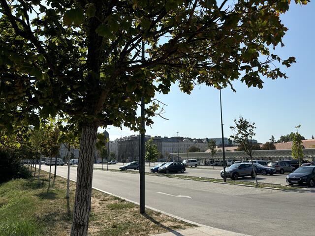 Das Arrival Center vor Schönbrunn. Rund 300 Bäume sind auf dem Gelände. | Foto: Rosa Besler/meinbezirk