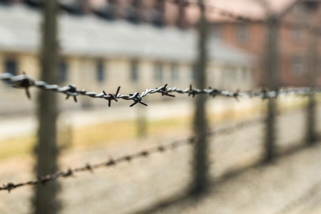In Korneuburg sitzt ein 14-jähriger Österreicher in Untersuchungshaft, der verdächtigt wird, Sympathien für die radikalislamische Terrororganisation "Islamischer Staat" (IS) zu hegen. | Foto: Pixabay