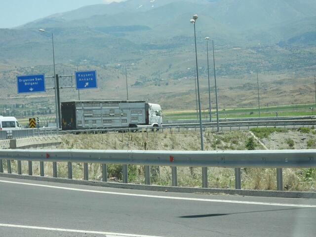 Die schwangeren Kühe werden nach Kayseri, mitten im türkischen Anatolien, transportiert. Am Ende der 4 Tage langen Fahrt haben sie eine Strecke von über 2.500 Kilometern zurückgelegt.