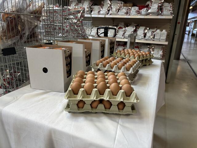 Foto: Rosa Besler/MeinBezirk