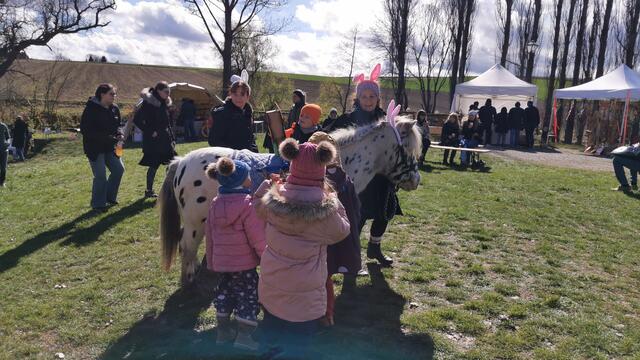 Beim Ostermarkt wird das Pferd schon mal in den Osterhasen verwandelt – den Kindern gefällt's. | Foto: Daniela Bruckmayer