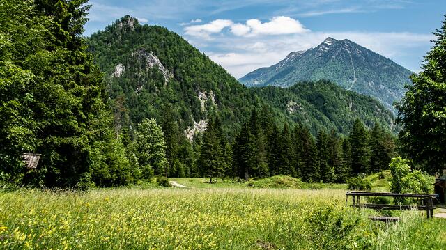 Route Eisenerzerhöhe_Wildalpen_c Christian Scheucher | Foto: Christian Scheucher