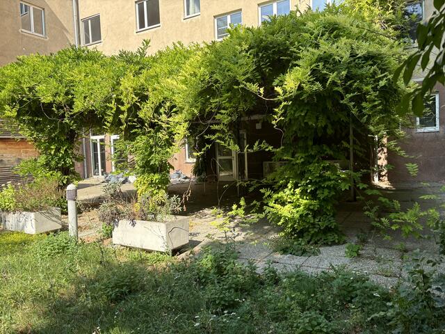 Foto: Marlene Graupner/MeinBezirk