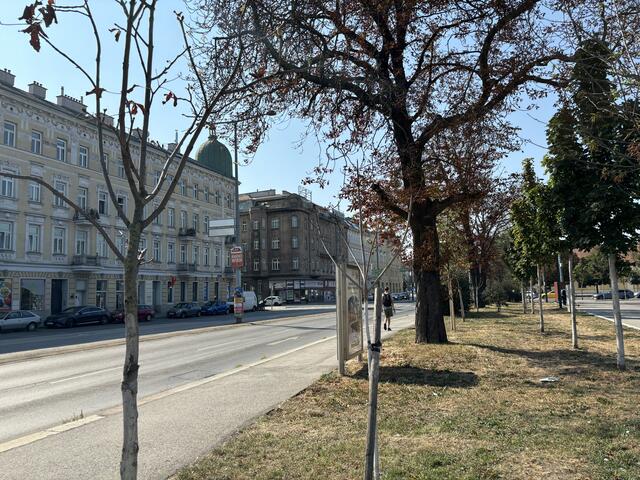 Foto: Rosa Besler/meinbezirk