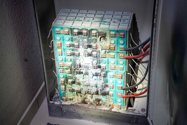 Foto: fotokerschi.at/Panchuk