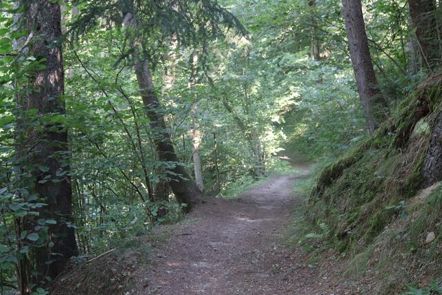 Nach dem Einstieg ist der Weg noch an mehreren Stellen ziemlich breit. Je weiter man vorankommt, desto enger und steiniger wird es. | Foto: MeinBezirk