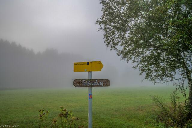 Foto: Copyright Werner Lückl