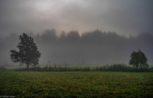 Foto: Copyright Werner Lückl