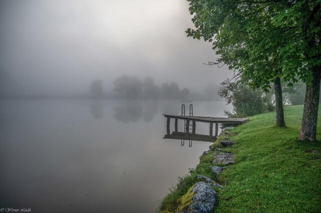 Foto: Copyright Werner Lückl