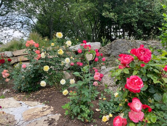 Die große Leidenschaft von Franz für die Gartengestaltung mit großen Steinen ist in diesem Garten nicht zu übersehen. | Foto: privat