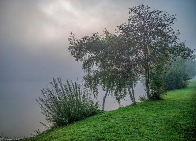 Foto: Copyright Werner Lückl