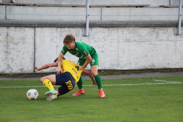 Foto: Staudinger